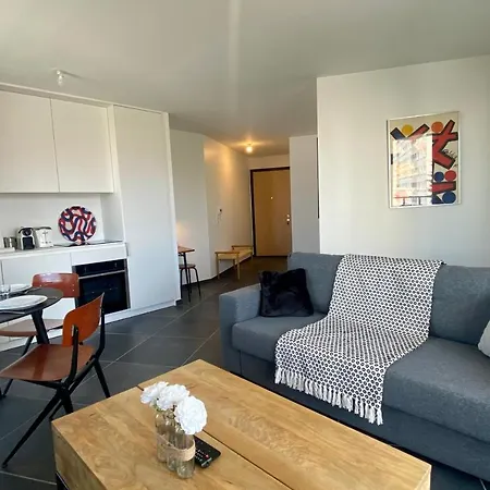 Apartment Le Triangle D'or - 1 Bedroom With Terrace Annecy